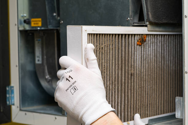 Best Air Vent Cleaning Services  in Grant, MN