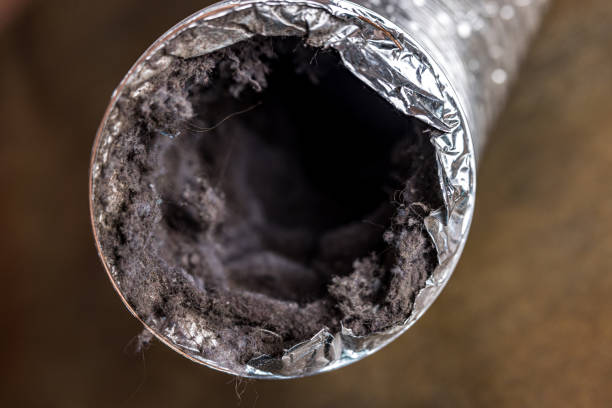 Best Home Air Vent Cleaning  in Grant, MN