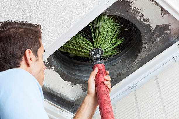 Best HVAC Maintenance and Cleaning  in Grant, MN