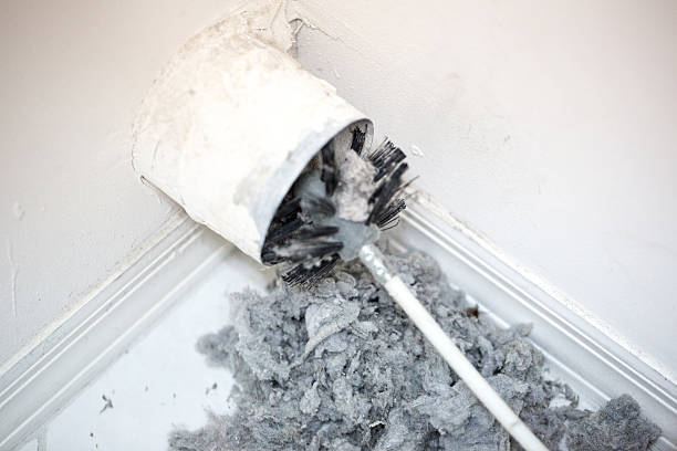 Best Local Air Duct Cleaning Services  in Grant, MN